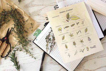 The Herbal Academy: Teaching Traditional Skills with Modern Technology Image